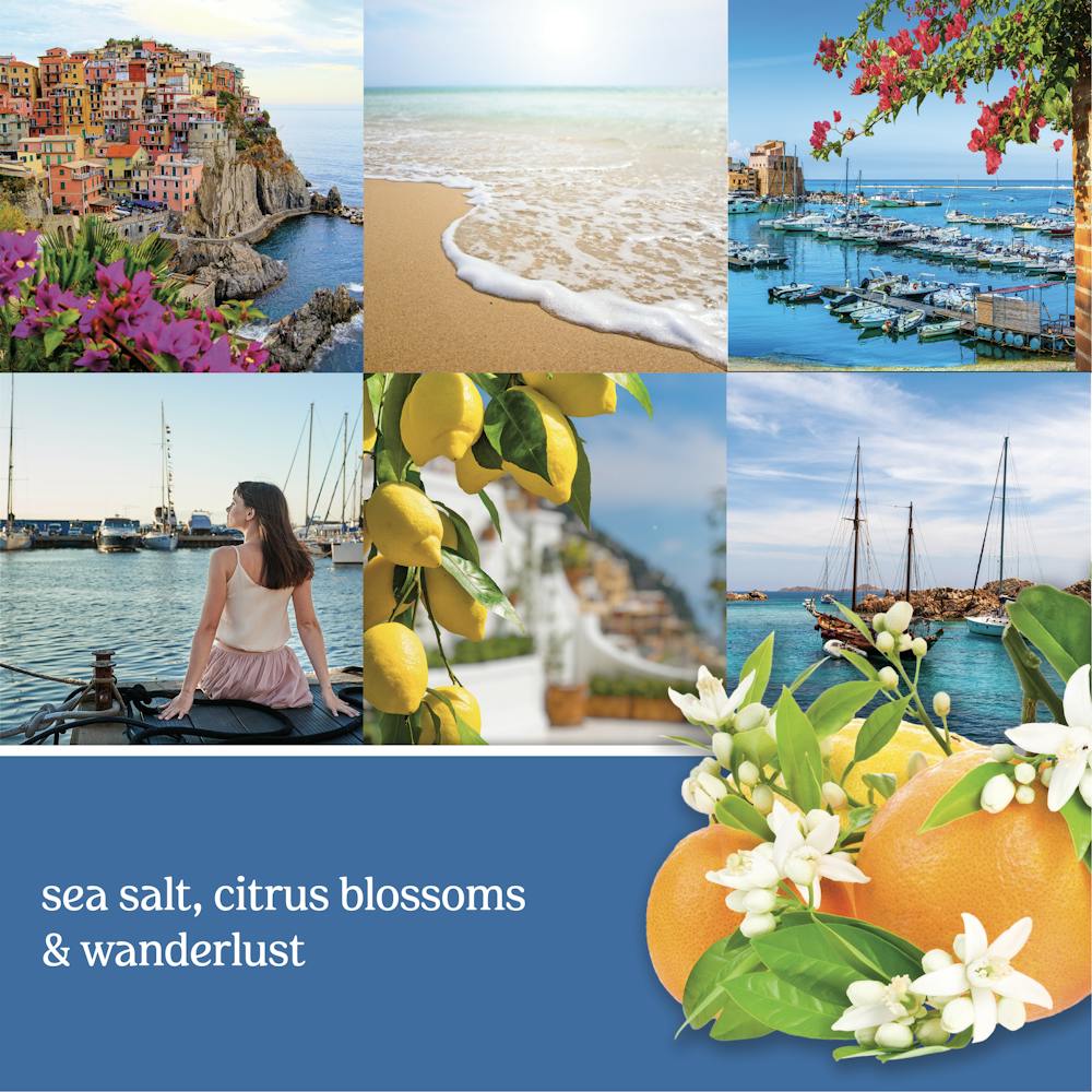 Mediterranean Breeze