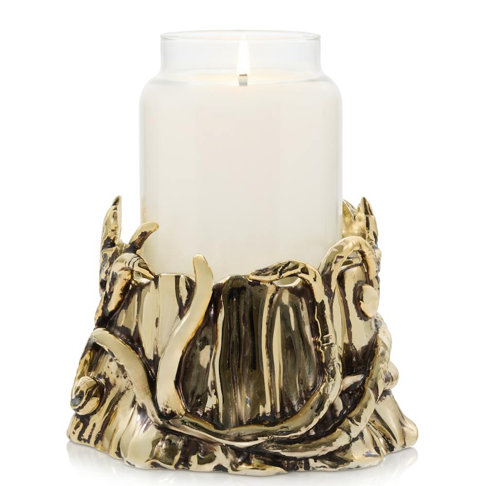 Enchanted Tree Holder